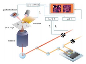 Ultrafast pump-probe force microscopy