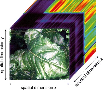 hyperspectral data cube.