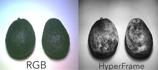 Normal camera vs. hyperspectral frame