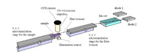 New Optical Tweezers Technique Revamps Single Cell Experimentation