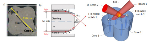 optical tweezers fiber