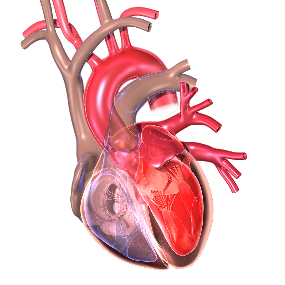 cardiac issue imaging