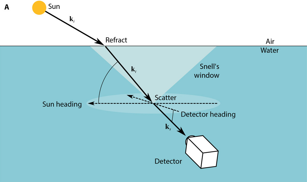 Figure 4 – Polarization video cameras were used to analyze the polarization of incoming light underwater to predict the detector’s geographic location. Picture from Powell et al. “Biosinspired Polarization Vision Enables Underwater Geolocalization.” DOI: 10.1126/sciadv.aao6841