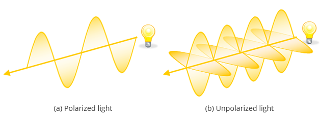 Diagram of light polarization