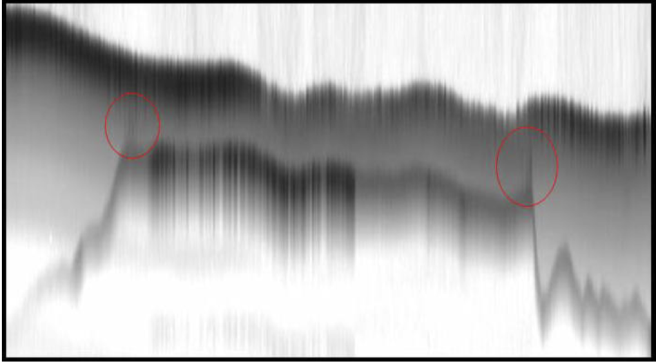 A zoomed-in image of LiDAR data indicating the presence of a lake trout, the edges of which are indicated by the area circled in red. Picture from Shaw et al., “Airborne LIDAR Mapping of Invasive Lake Trout in Yellowstone Lake.” Accessed from http://www.montana.edu/jshaw/documents/ILRC24_YstoneLidar.pdf