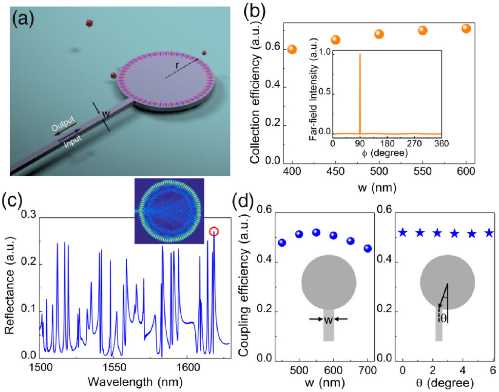 Waveguides and microdisks