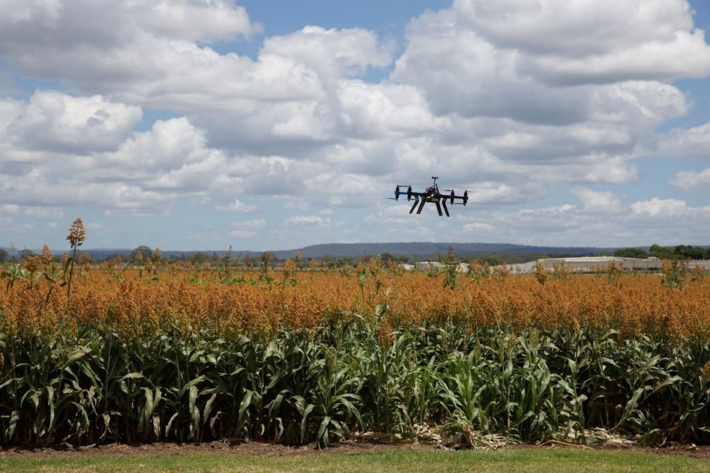 Water Optimization: drones used in farms