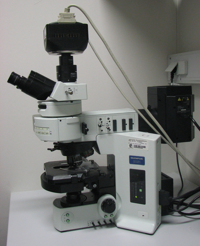 A laboratory fluorescence microscope with many parts.