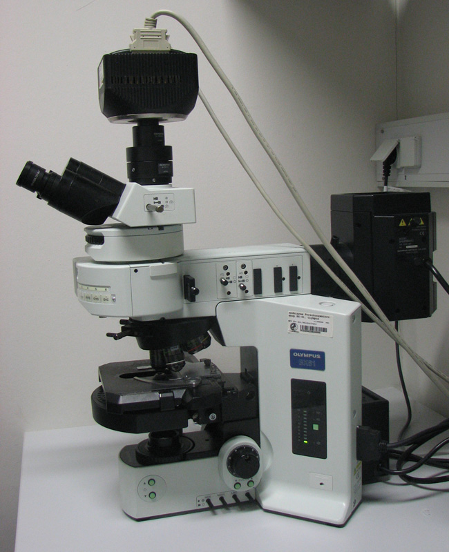 Low-cost smartphone fluorescence microscope developed