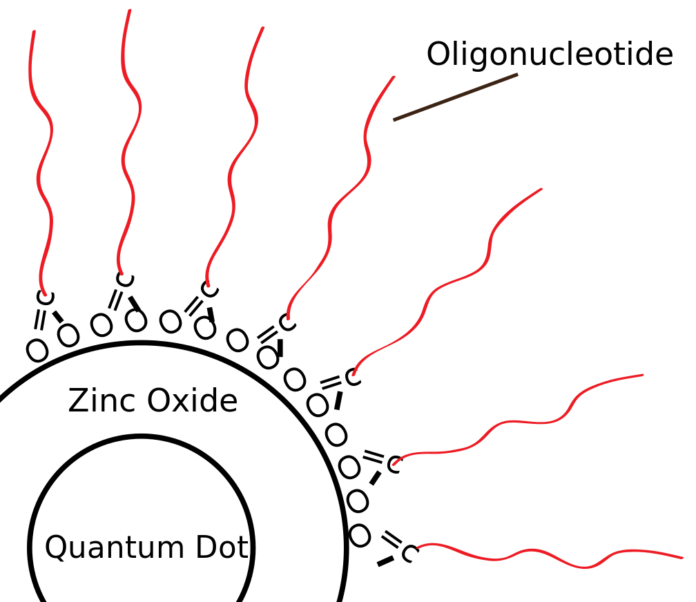 Core Shell Colloidal Quantum Dots