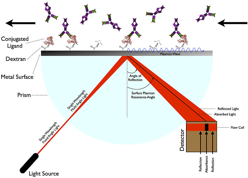 A diagram of how surface plasmon resonance works when used in fiber optics to monitor super capacitor's efficiency.