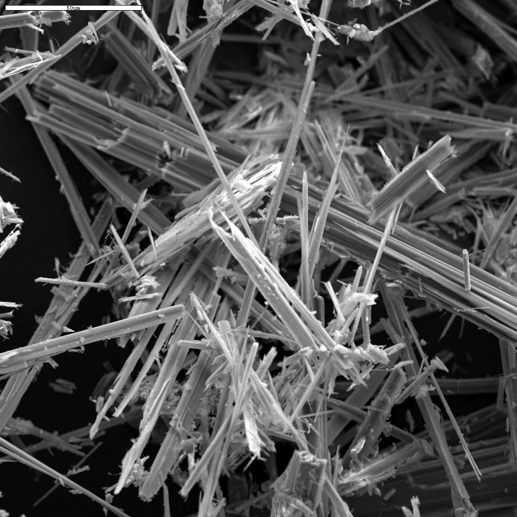 SEM Image of Asbestos Fibers