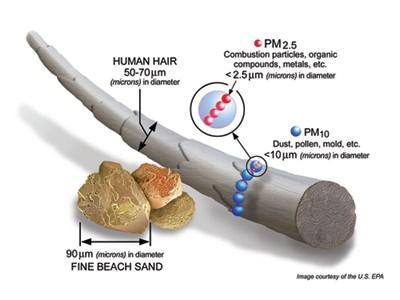 neural networks - particle pollution size