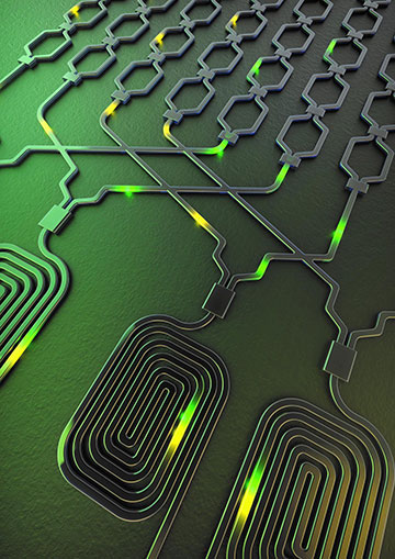 Silicon Photonic Circuits for Optical Interconnects and All Optical