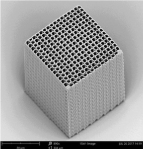 Two-Photon Polymerization of Cellular Scaffolds