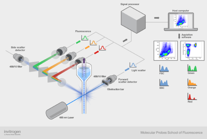 cytometry