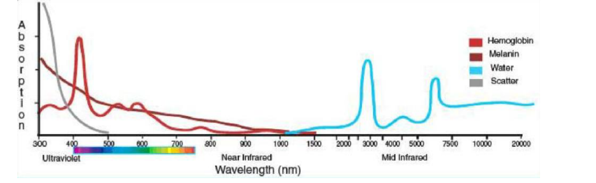 Laser tissue interactions chromophores