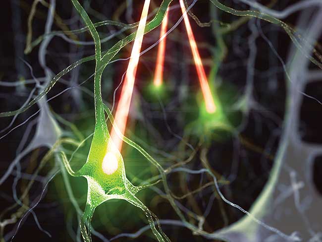 What is a neuron 
