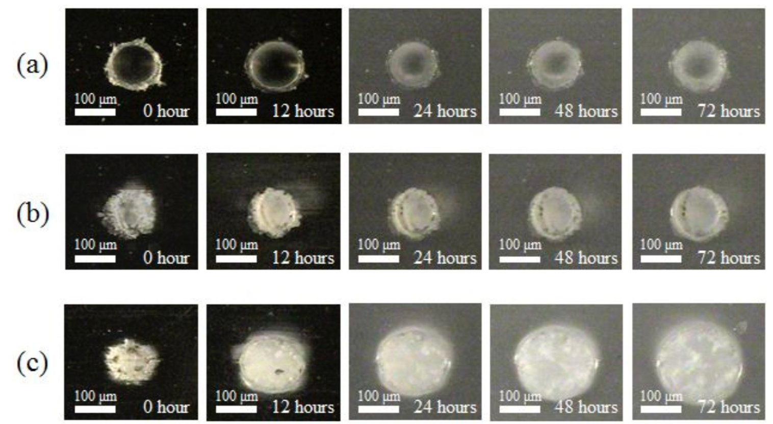 biodegradable polymers