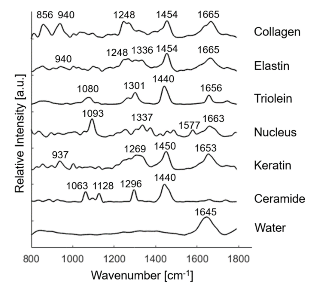 biophysical cancer analysis