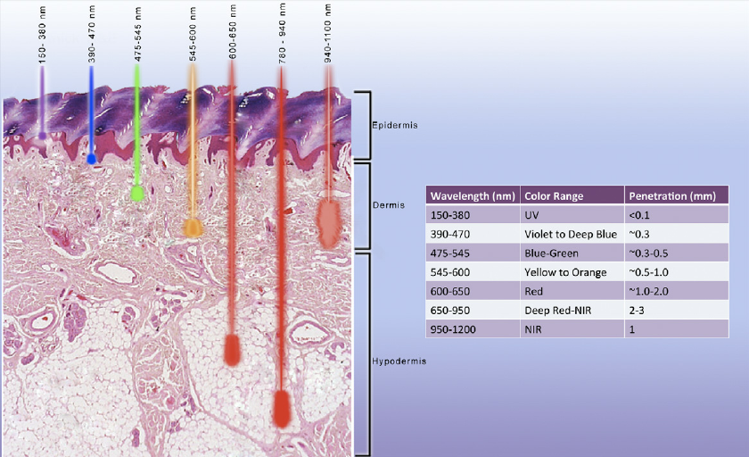 wavelength dependence for laser tissue interactions