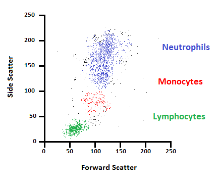 2D_scatter_cells