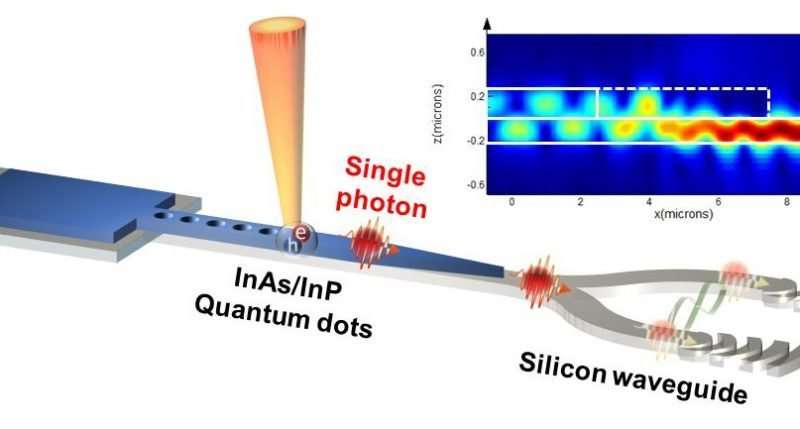 single photon sources