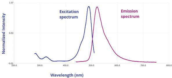 Fluorescence spectroscopy uses