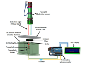 Cancer Cell Detection Using a Low-Cost Fluorometer