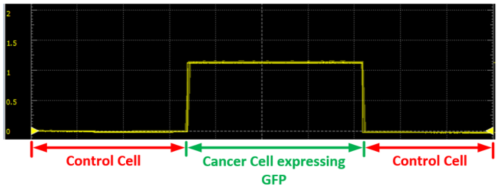 low-cost fluorometer