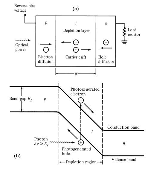 pin photodetectors