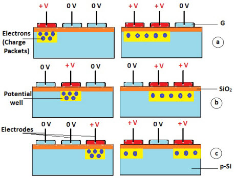 Dynamics of a Charged Coupled Device