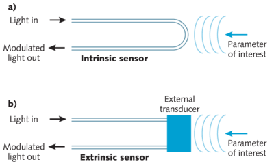 fiber optic sensing mechanisms