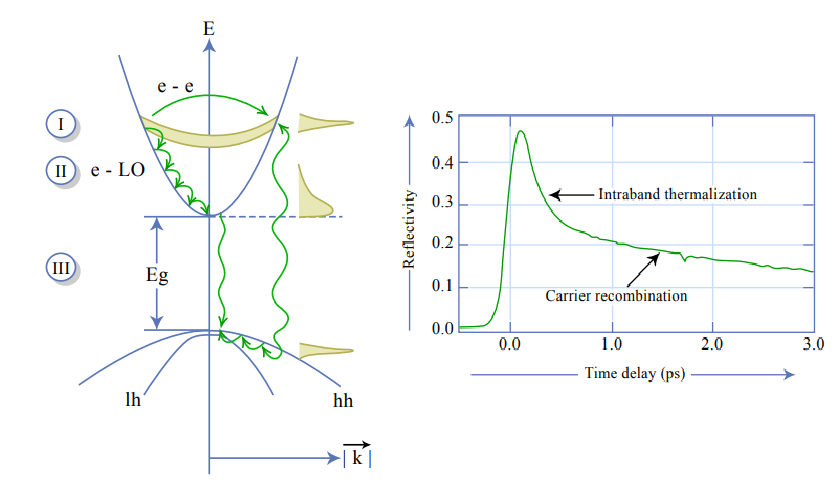 SESAM mechanism