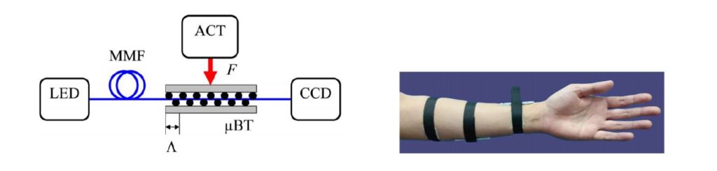 Optical Myography in action