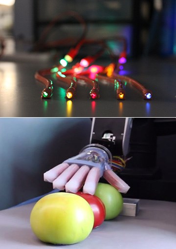 Top Image: a photo of a bionic hand; bottom image: bionic hand touching tomatoes of various colors