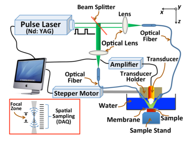 photoacoustic elastography