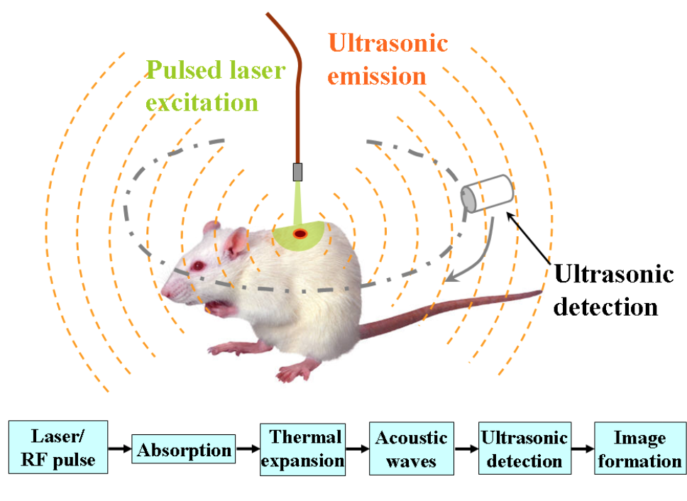 photoacoustic elastography