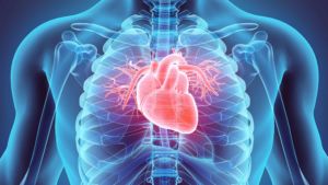 Photoacoustic Imaging for Cardiovascular Disease Diagnosis