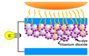 Describes the anatomy and functionality of a dye-sensitized solar cell 