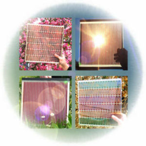 Dye-Sensitized Solar Cells: An Inexpensive Alternative