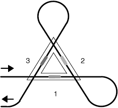 Fiber Bragg Grating Rosette Structure