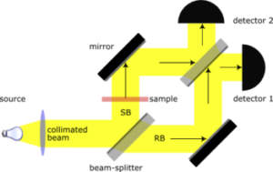 Digital Holography: Interferometric Imaging of Biological Samples