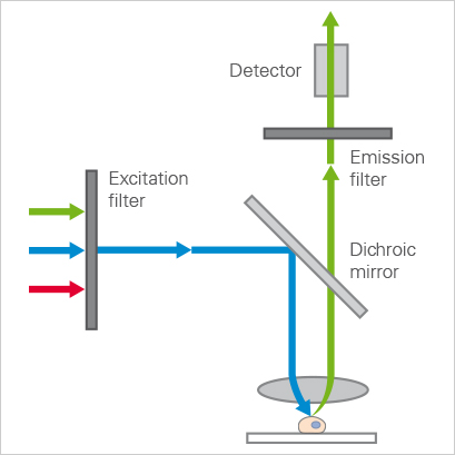 wide-field microscopy