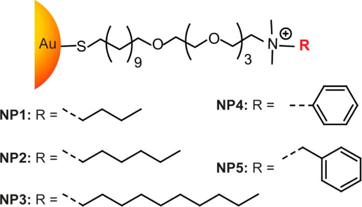 Functional ligand structure on GNPs