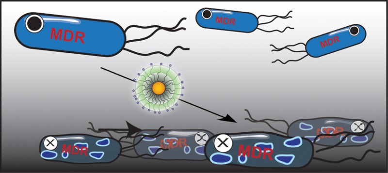 Gold nano[articles MDR bacteria