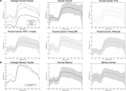 spectral signatures tumor detection