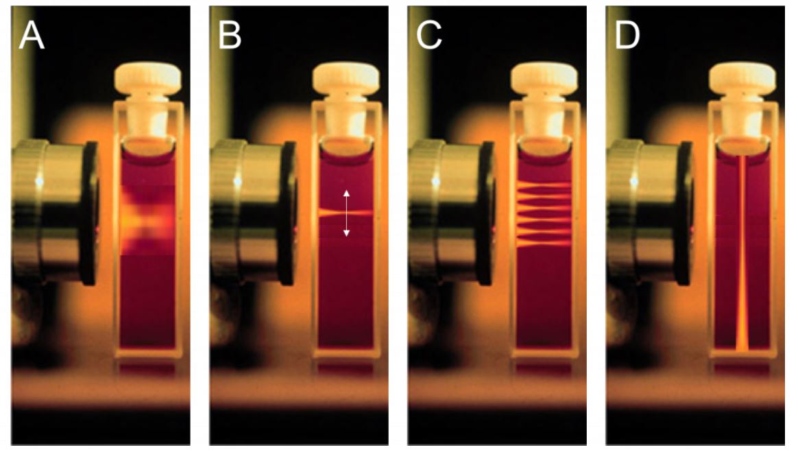 Light Sheet Microscopy Confocal Microscopy