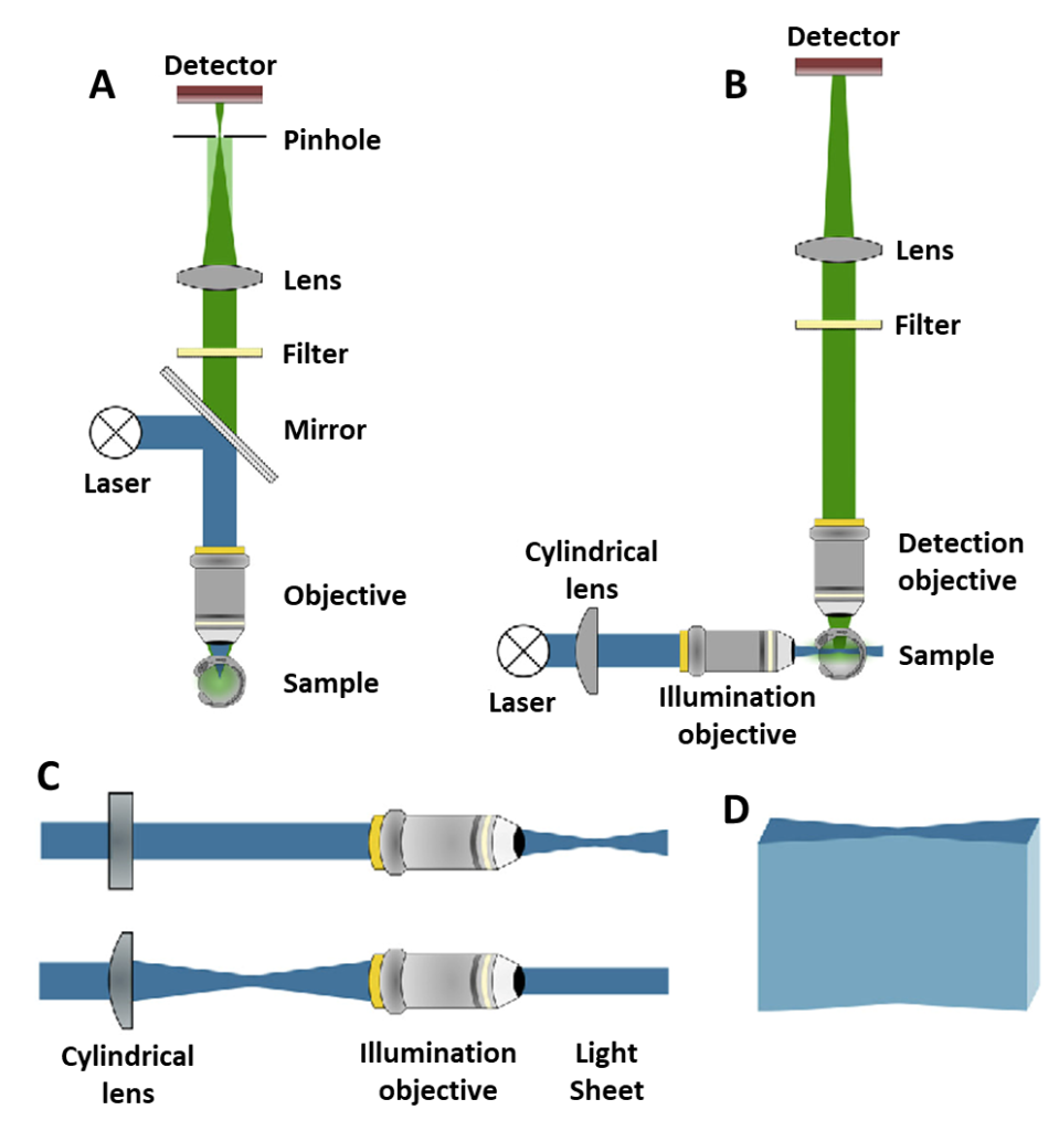 Light Sheet Microscopy Principles and Biomed Applications