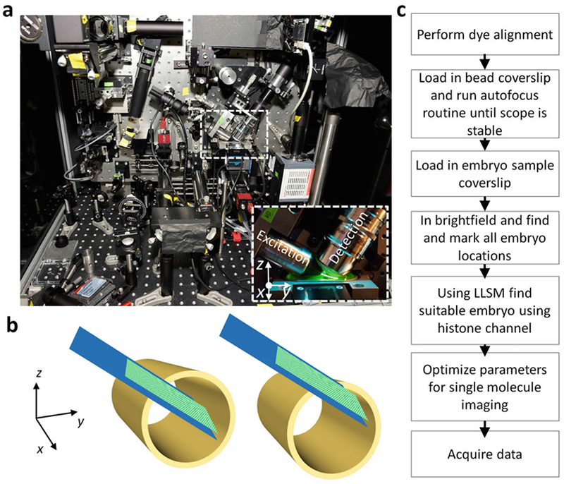 Light Sheet Microscopy setup